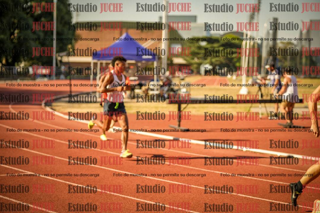 Fotos de los 800 m llanos de varones