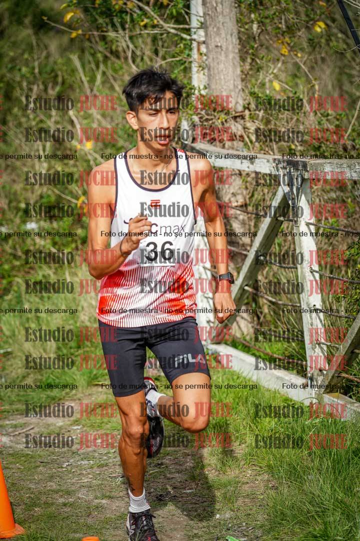 Fotos en el circuito