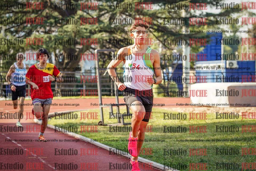 Fotos de los 800 m llanos de varones
