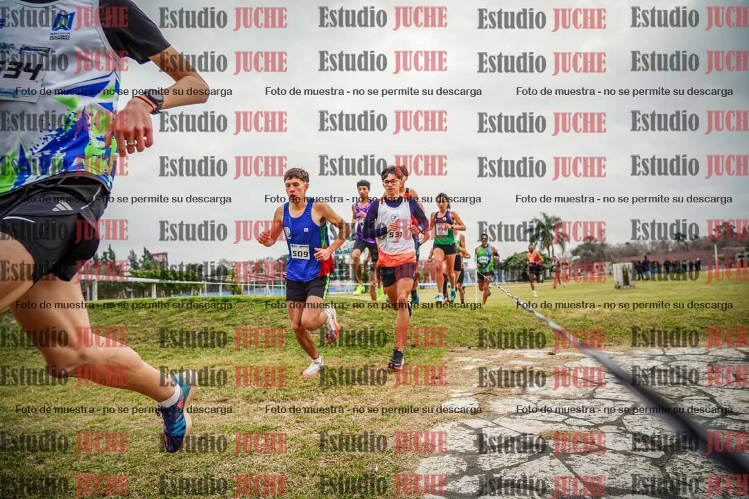 Fotos en el circuito