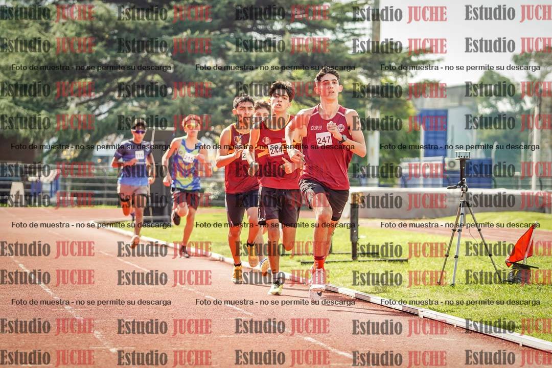 Fotos de los 800 m llanos de varones