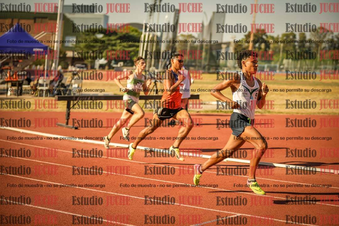 Fotos de los 800 m llanos de varones