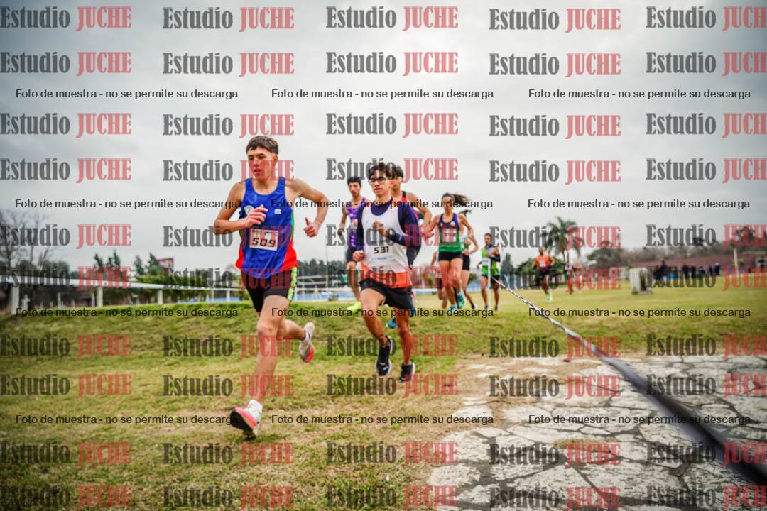 Fotos en el circuito