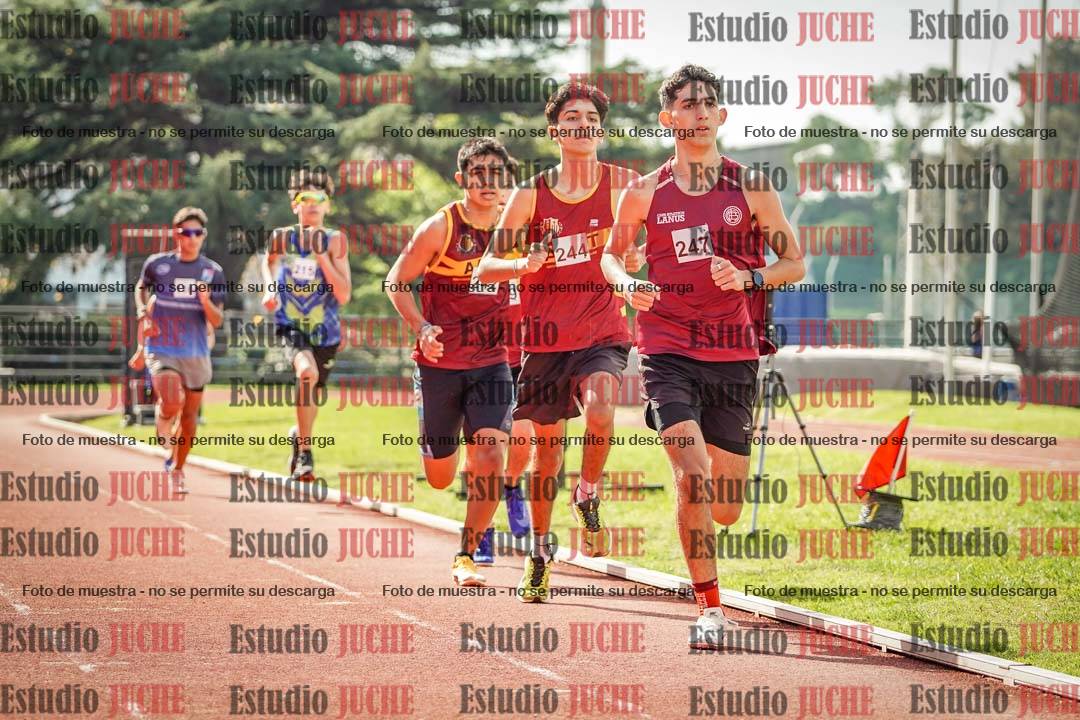 Fotos de los 800 m llanos de varones