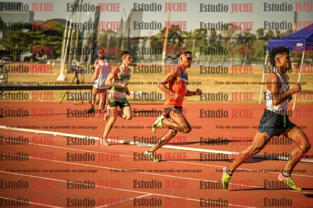 Fotos de los 800 m llanos de varones