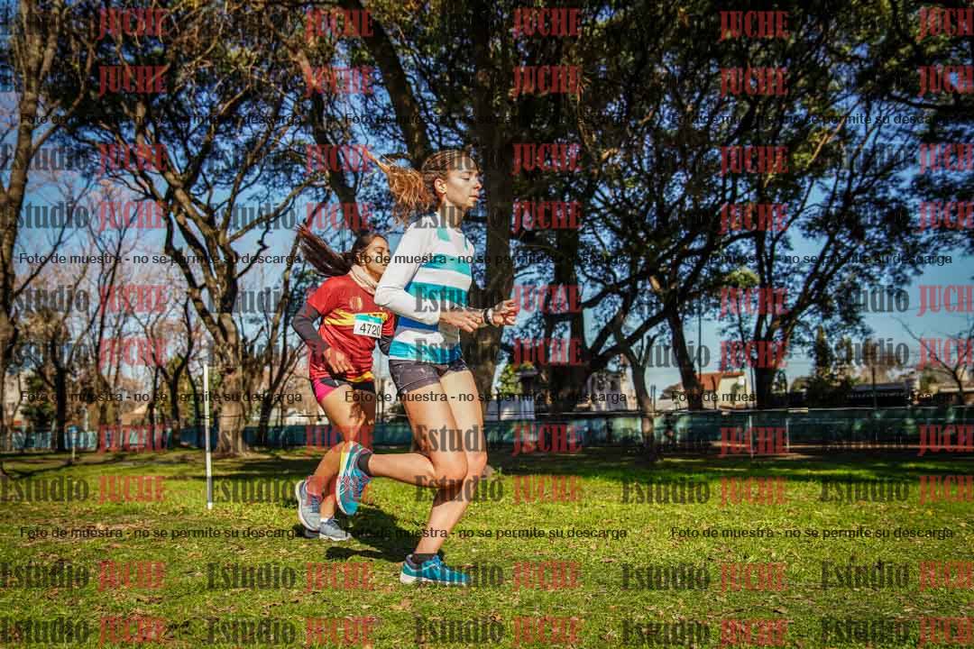 Fotos en el circuito