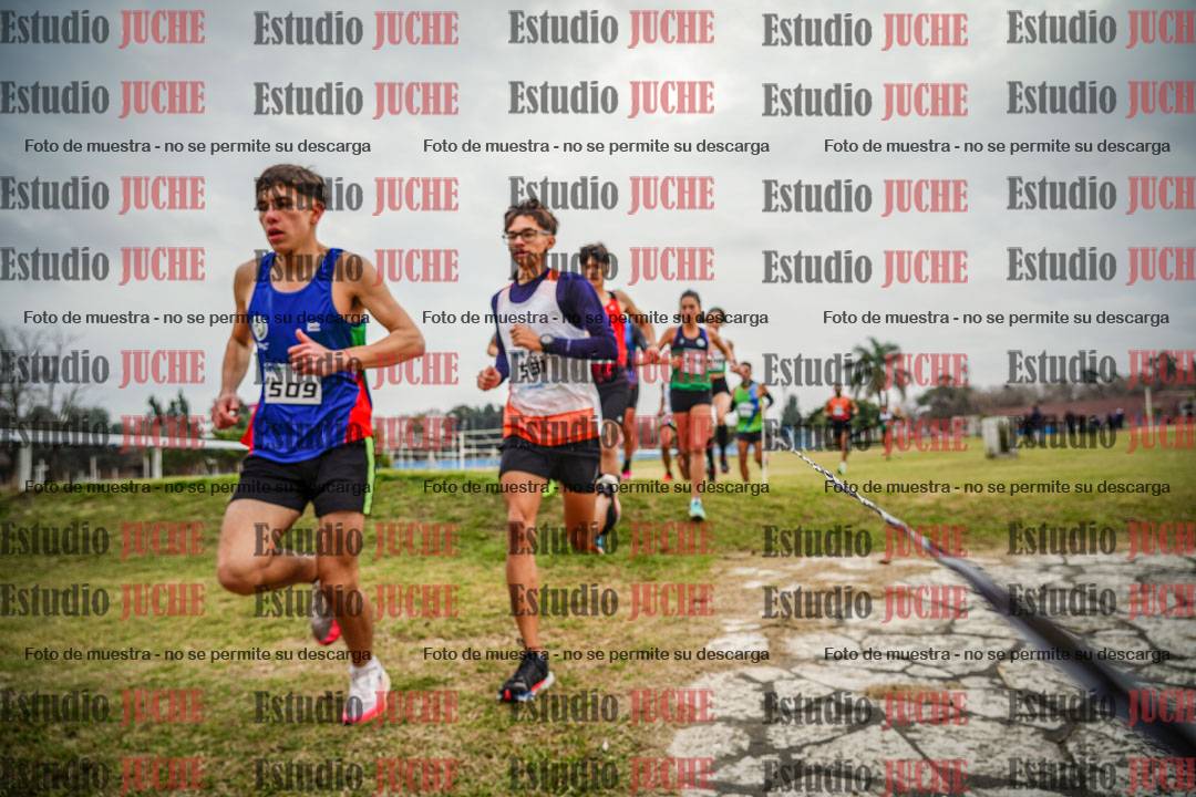 Fotos en el circuito