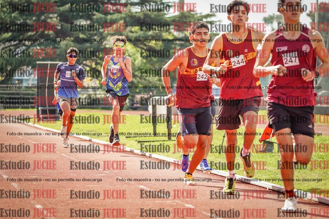 Fotos de los 800 m llanos de varones