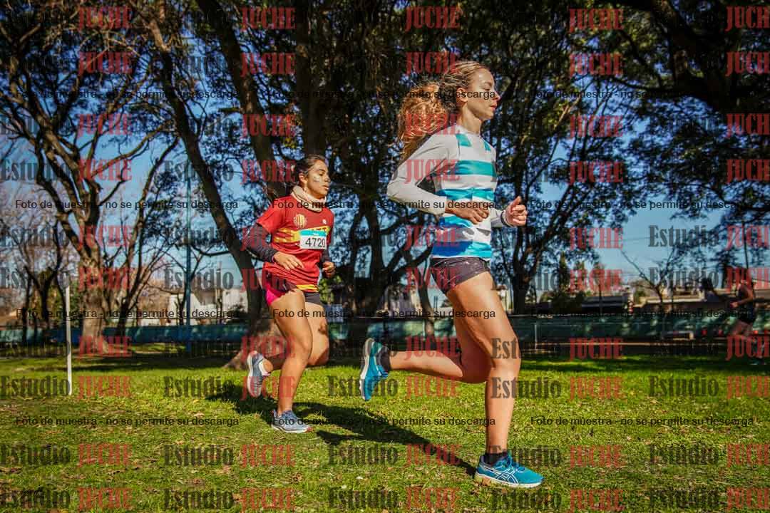 Fotos en el circuito