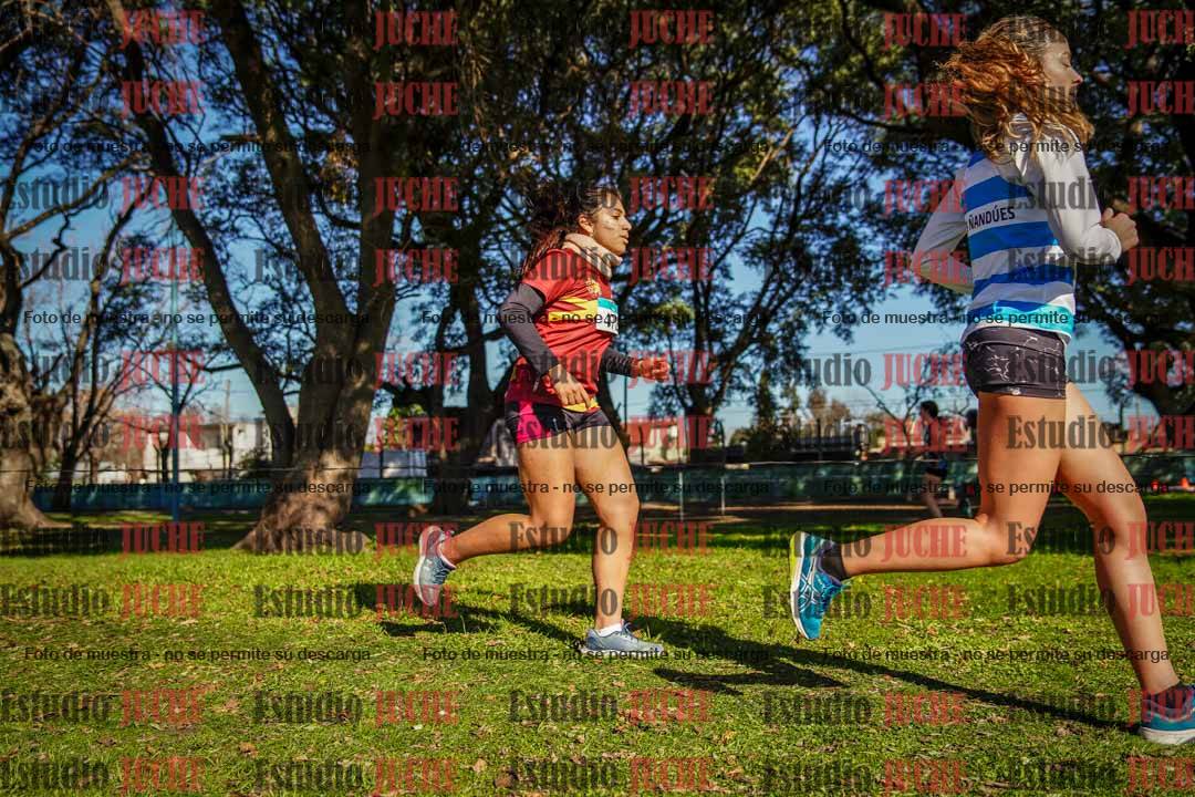 Fotos en el circuito