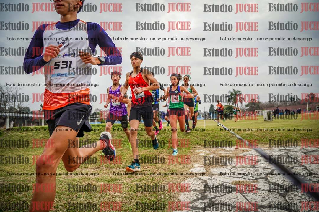 Fotos en el circuito