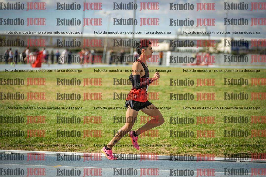 Fotos de los 5000 m llanos de varones