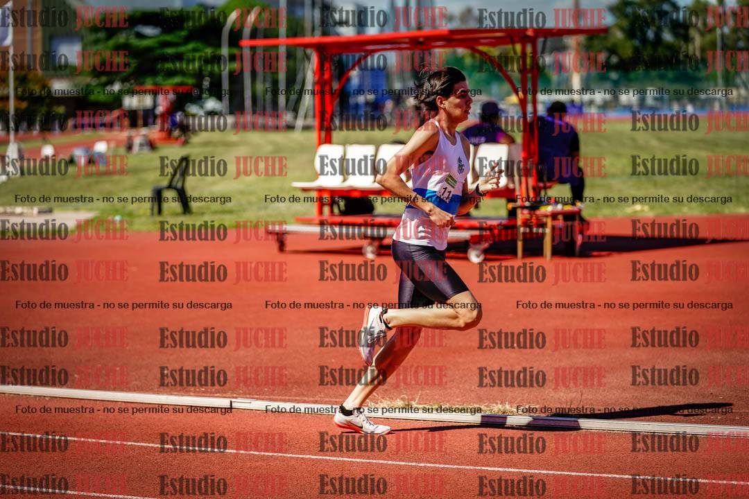 Fotos de los 800 m llanos de varones