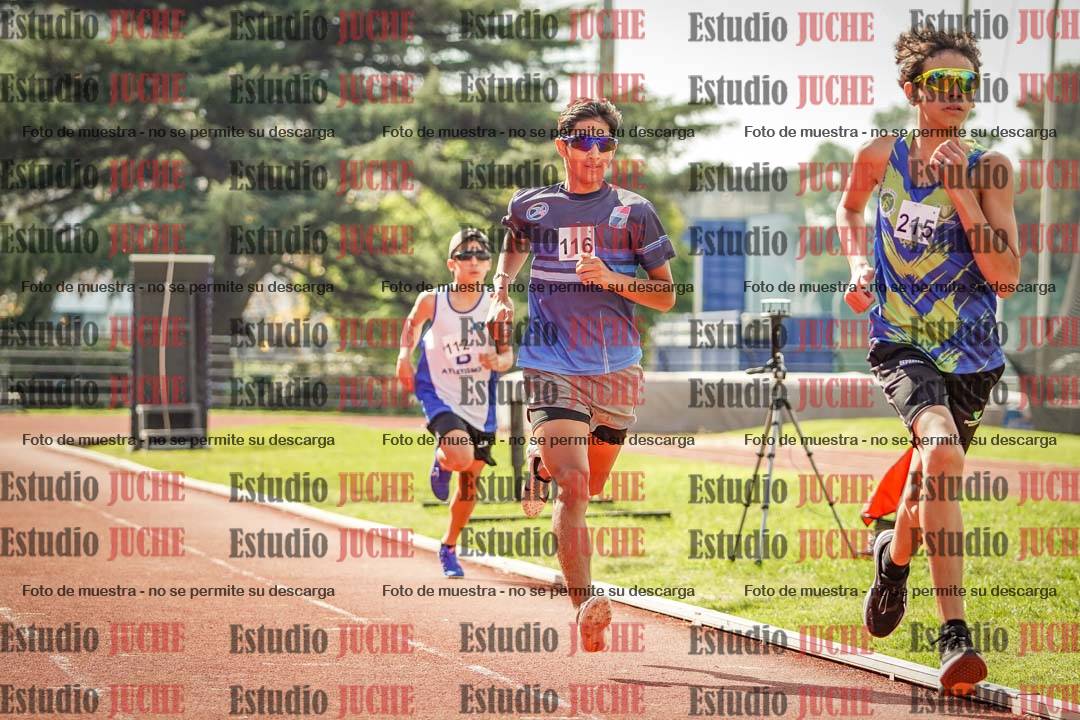 Fotos de los 800 m llanos de varones