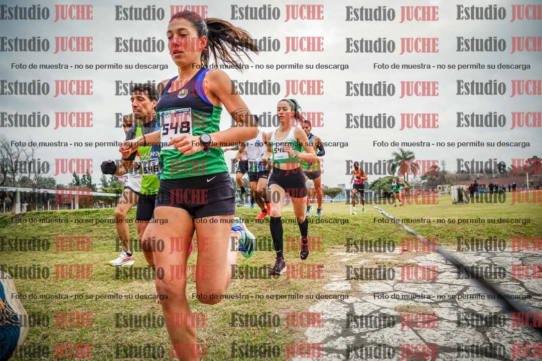 Fotos en el circuito