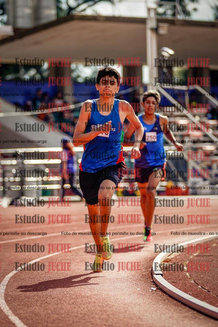 Fotos de los 800 m llanos de varones