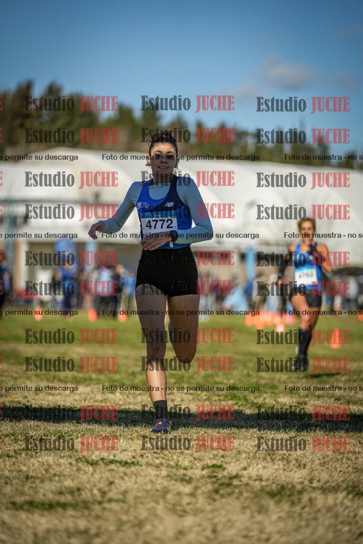 Fotos de las llegadas
