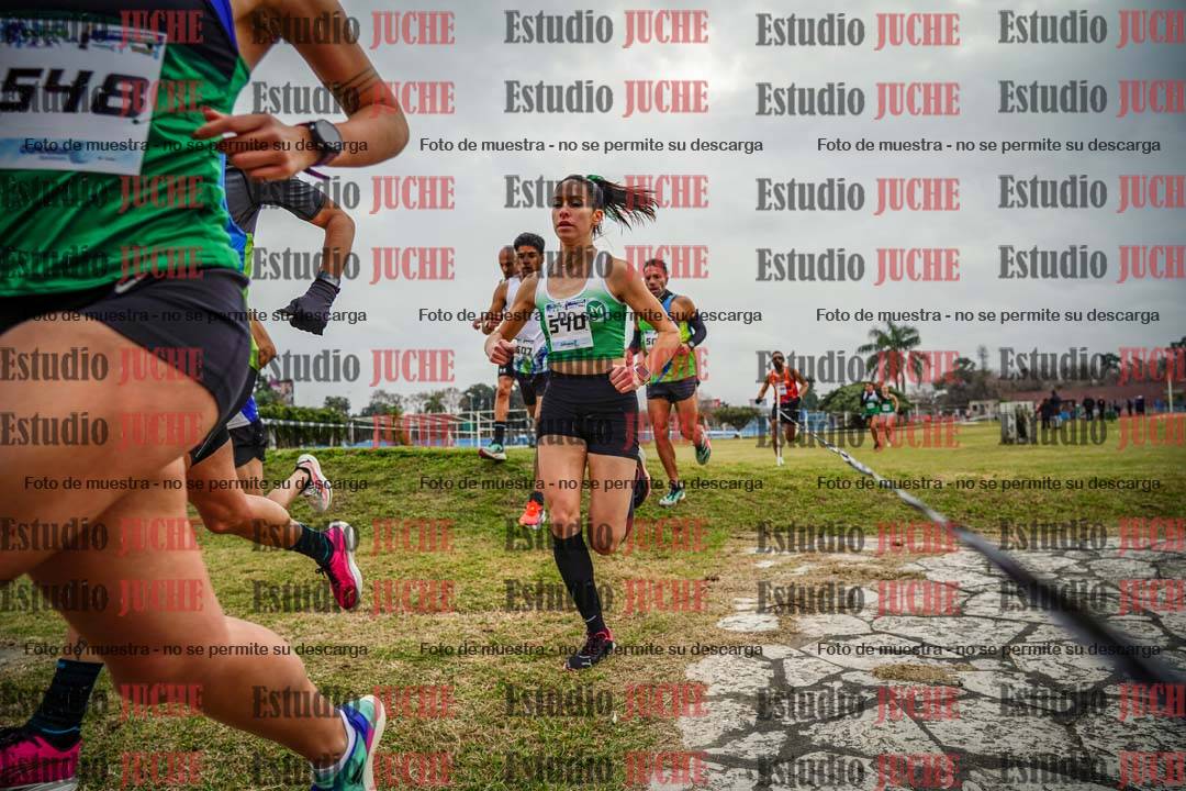 Fotos en el circuito