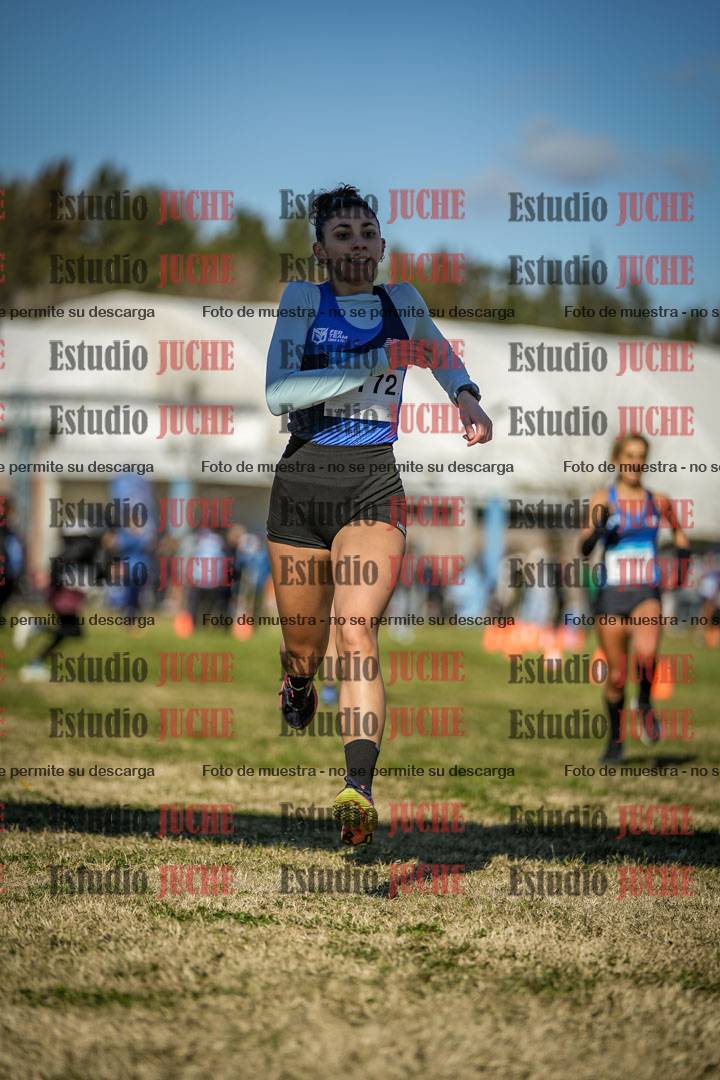 Fotos de las llegadas