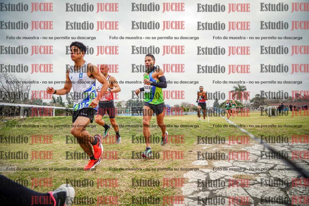 Fotos en el circuito