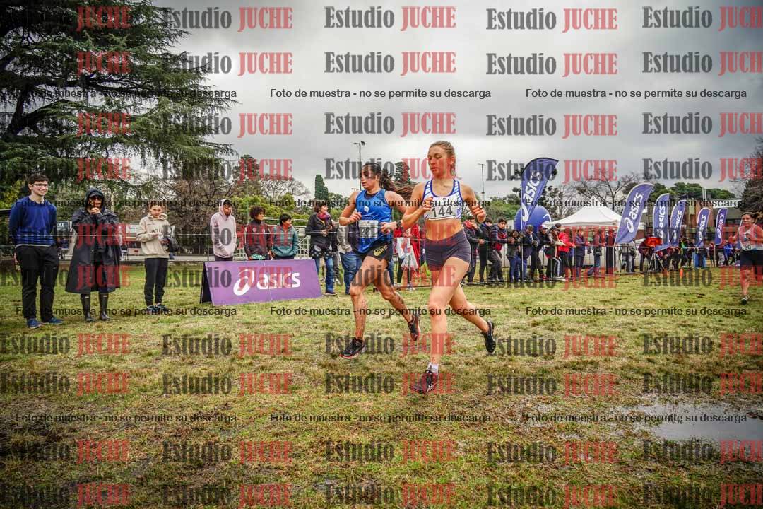 Fotos en el circuito