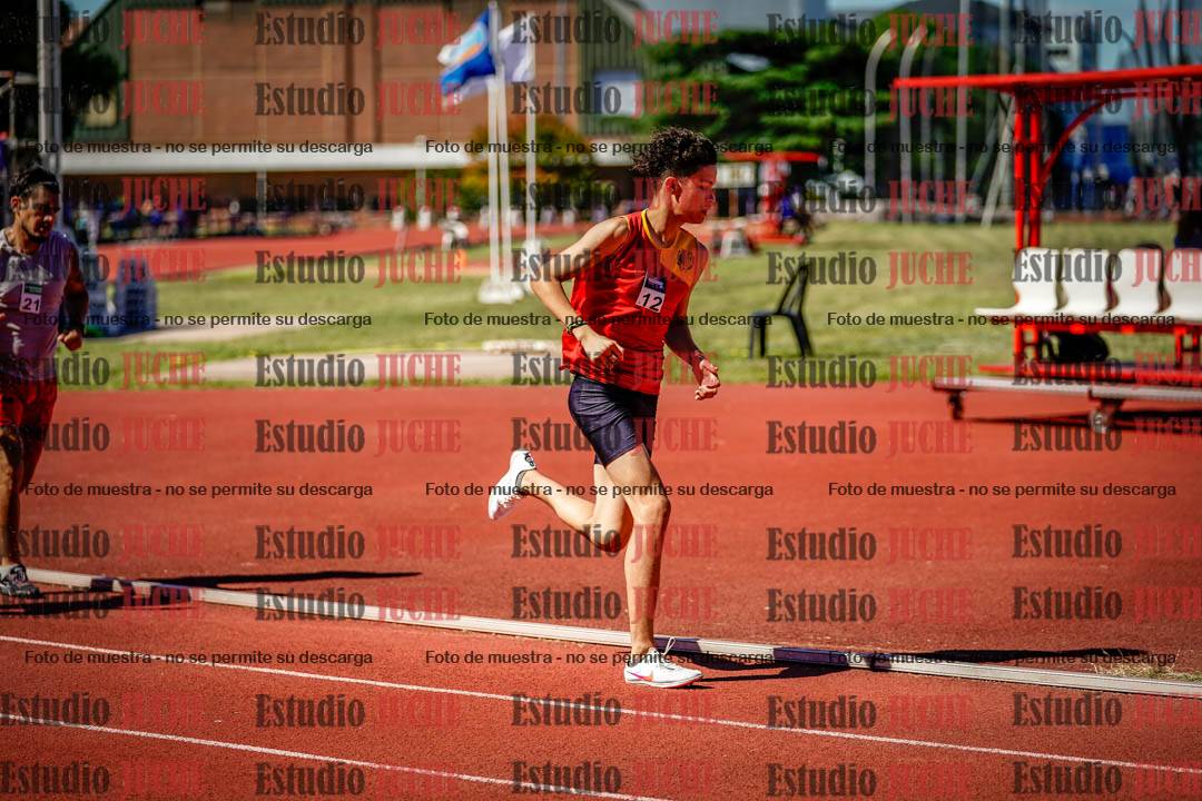 Fotos de los 800 m llanos de varones
