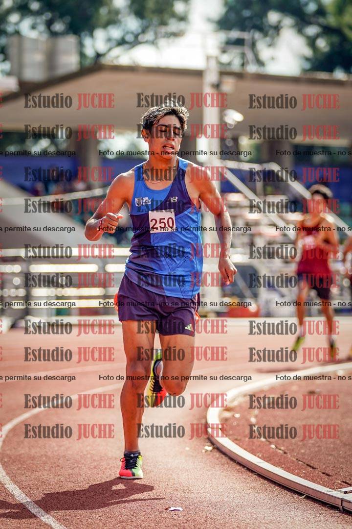Fotos de los 800 m llanos de varones