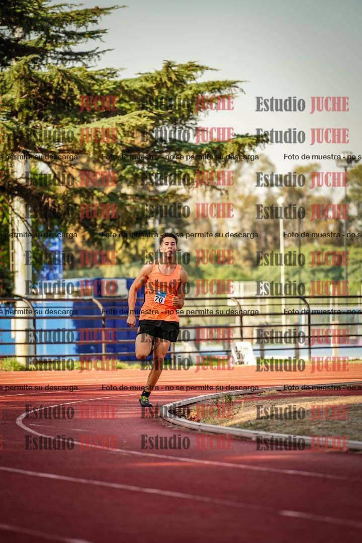Fotos de los 800 m llanos de varones