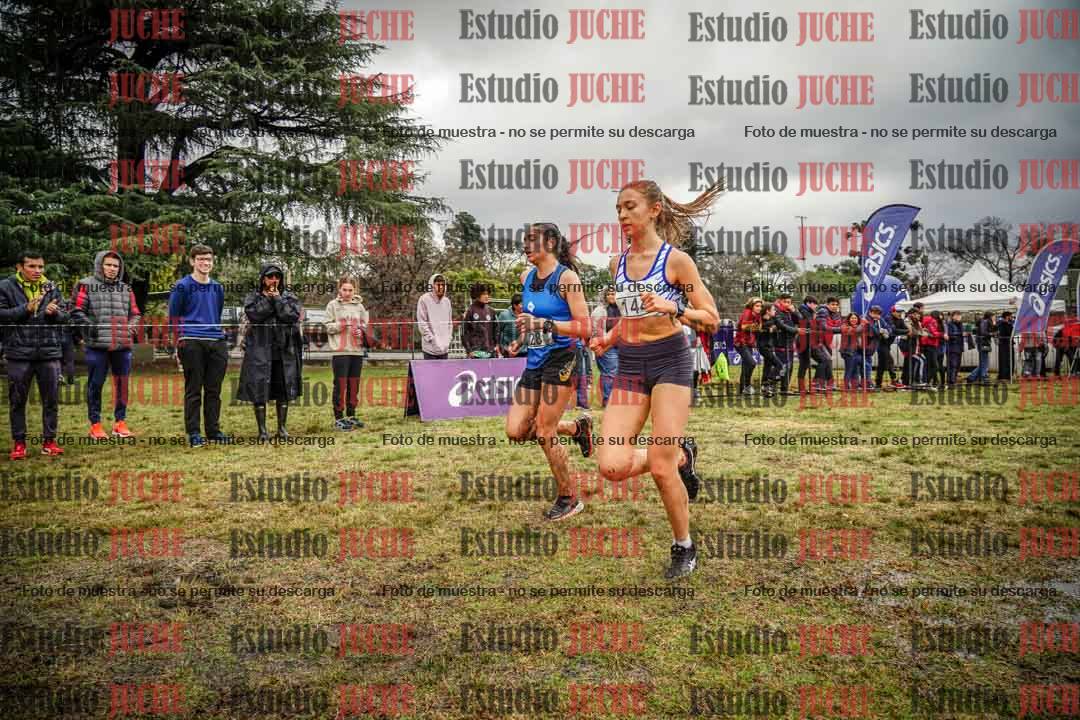 Fotos en el circuito