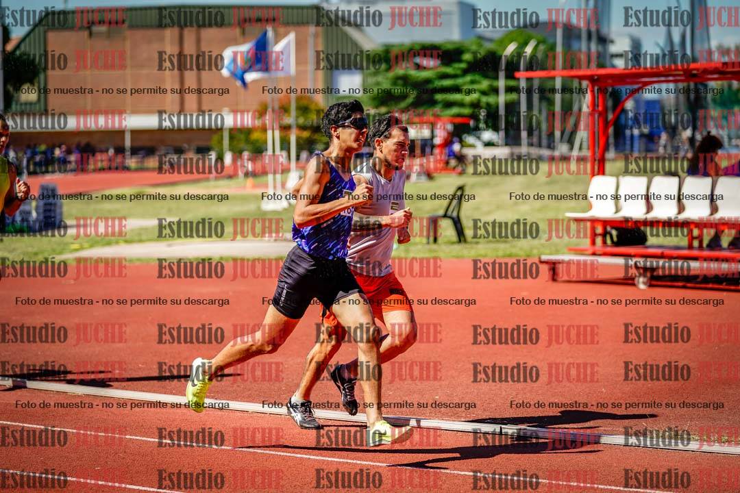 Fotos de los 800 m llanos de varones
