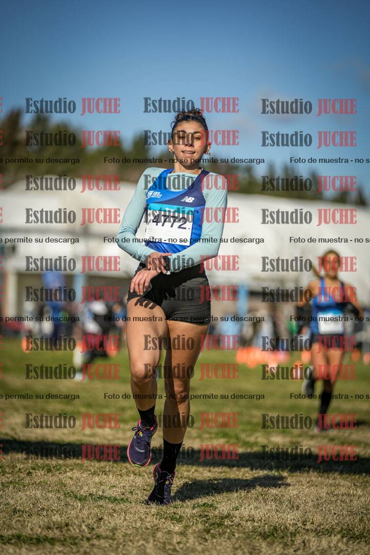 Fotos de las llegadas