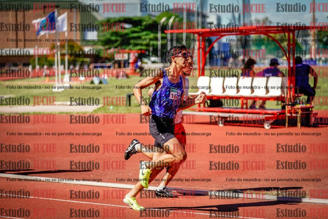 Fotos de los 800 m llanos de varones