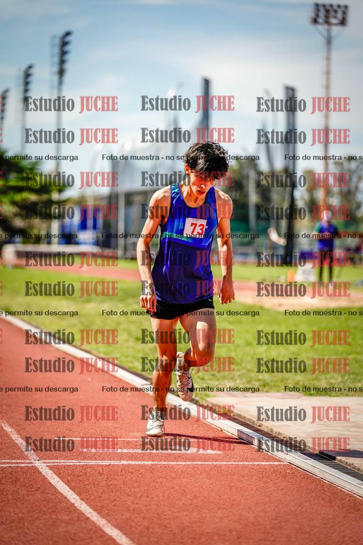 Fotos de los 800 m llanos de varones