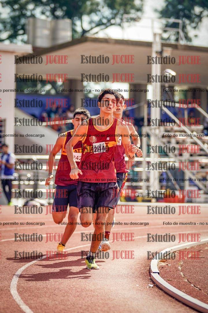 Fotos de los 800 m llanos de varones