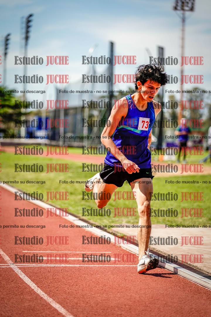 Fotos de los 800 m llanos de varones