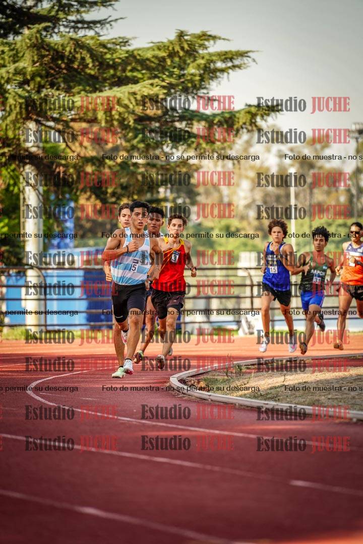 Fotos de los 800 m llanos de varones