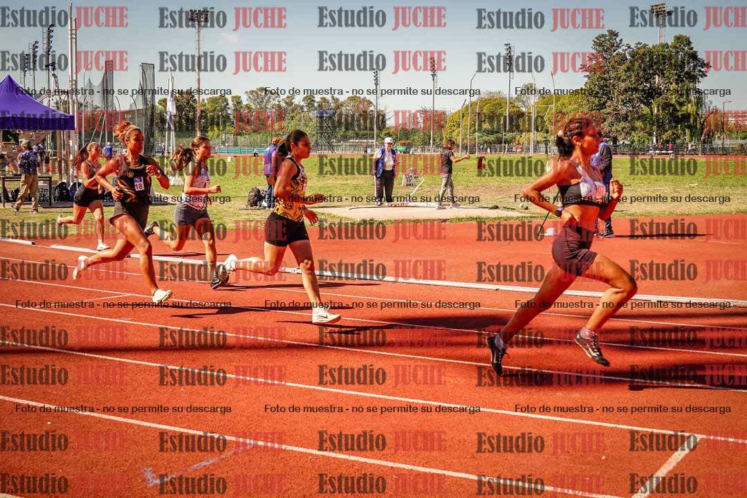 Fotos de los 800 m llanos de mujeres