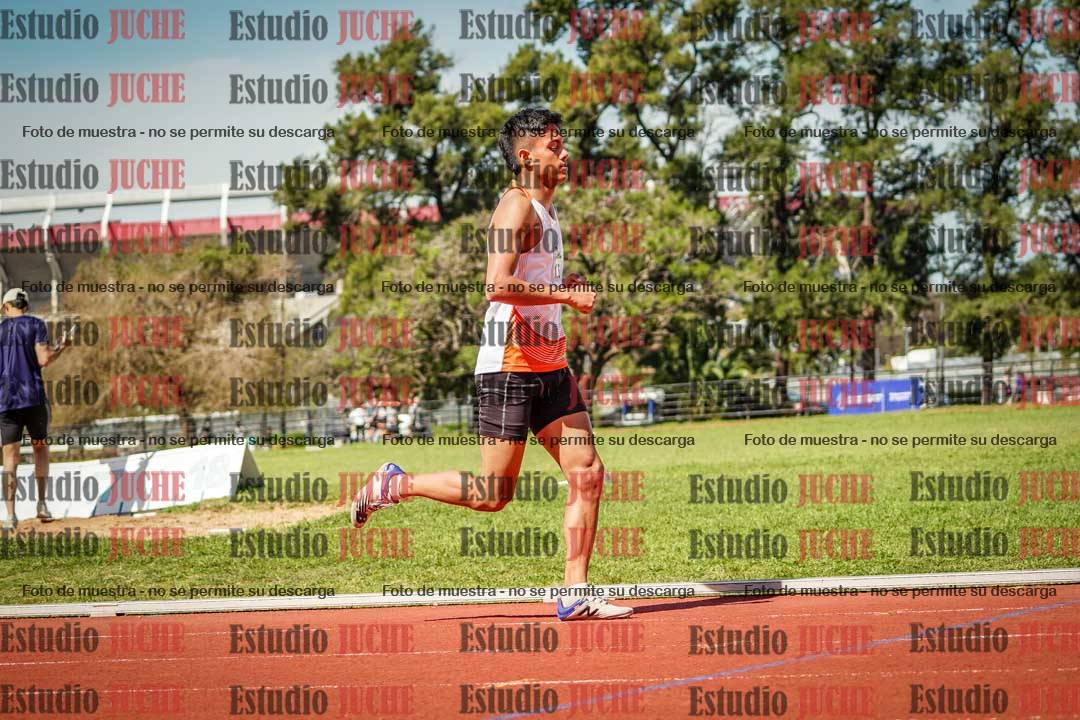 Fotos de los 800 m llanos de varones