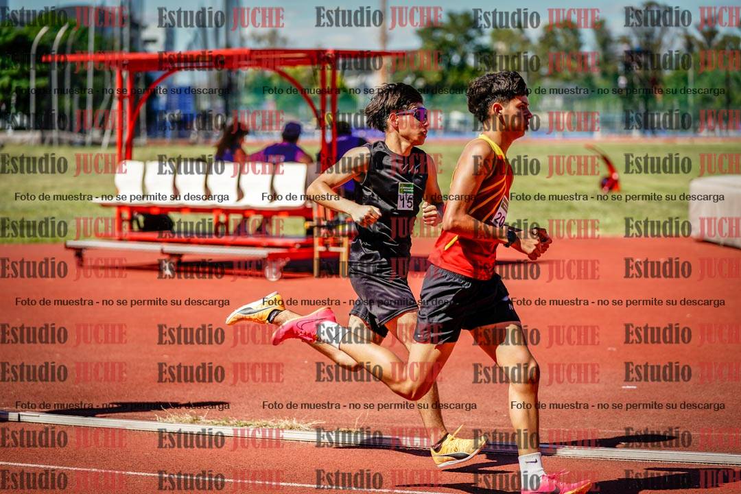 Fotos de los 800 m llanos de varones
