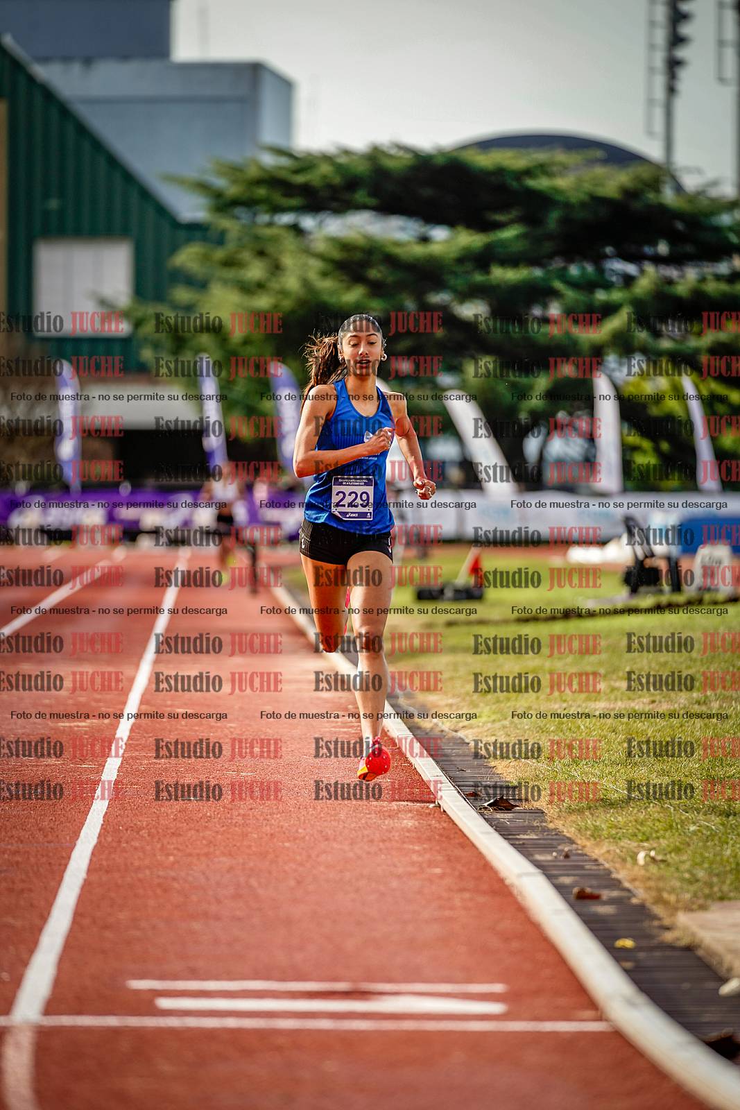Fotos de los 3000 m con obstáculos de mujeres