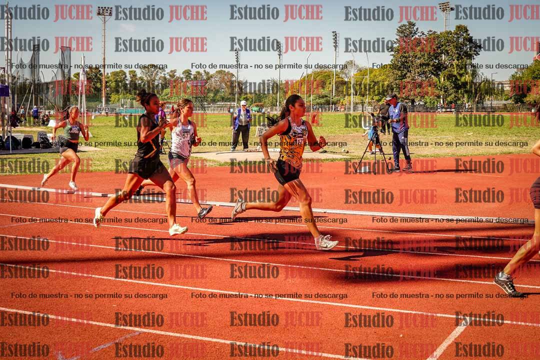 Fotos de los 800 m llanos de mujeres