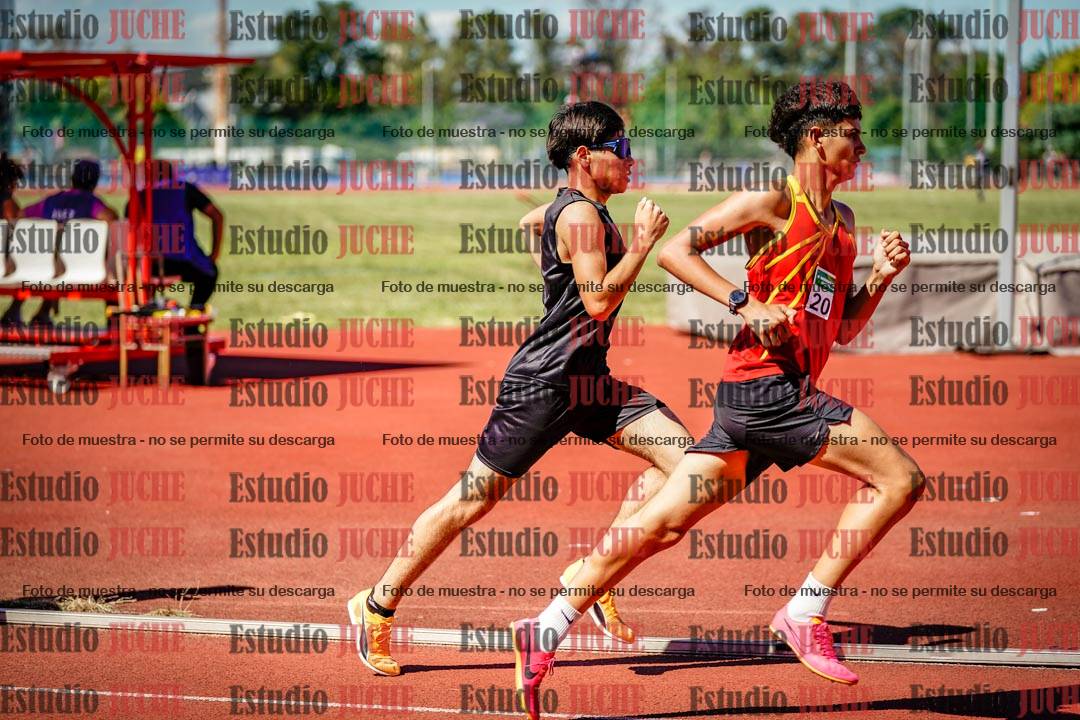 Fotos de los 800 m llanos de varones
