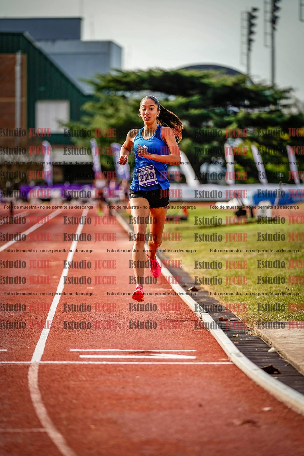 Fotos de los 3000 m con obstáculos de mujeres