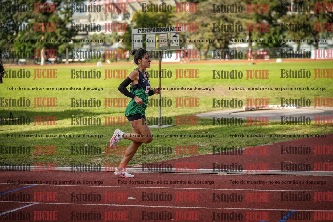 Fotos de los 1500 m llanos de mujeres
