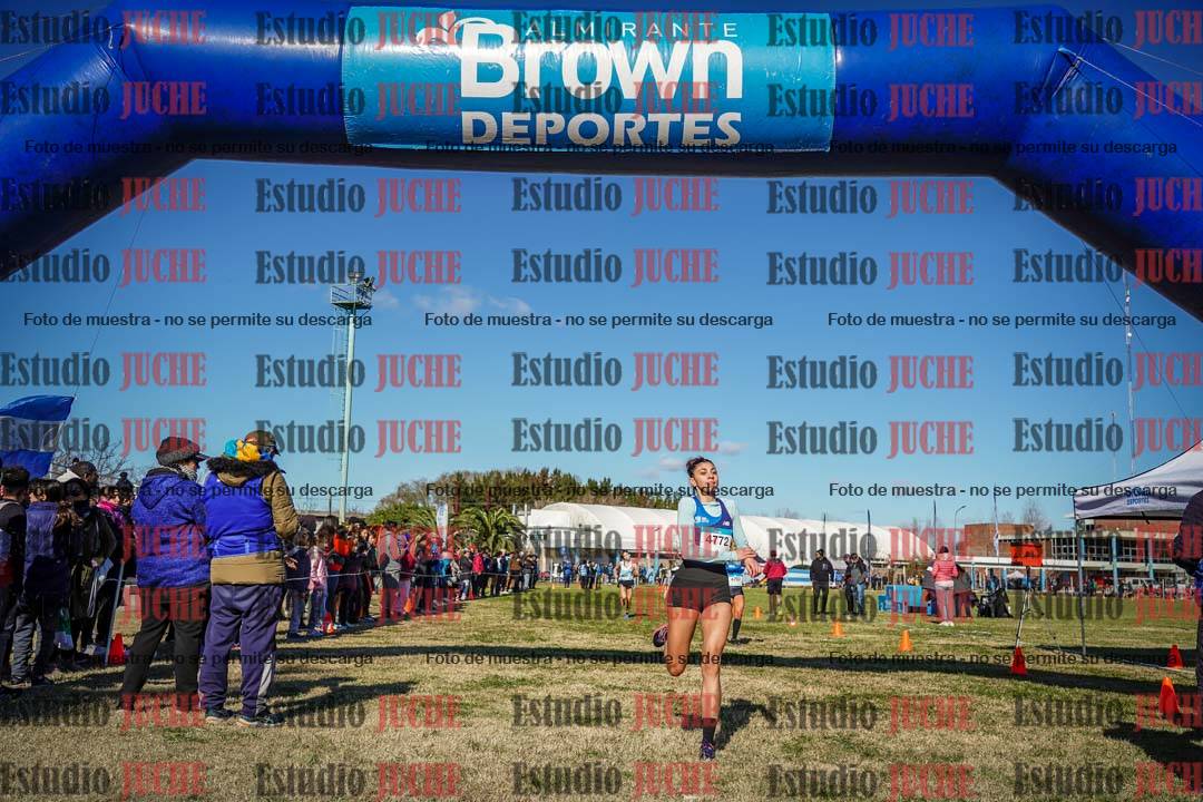 Fotos de las llegadas