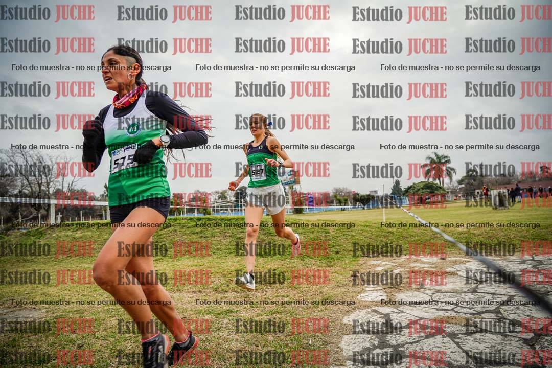 Fotos en el circuito