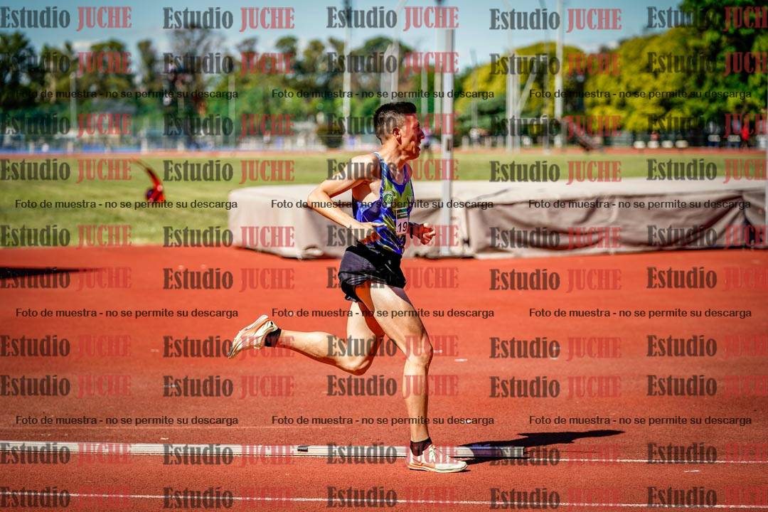 Fotos de los 800 m llanos de varones