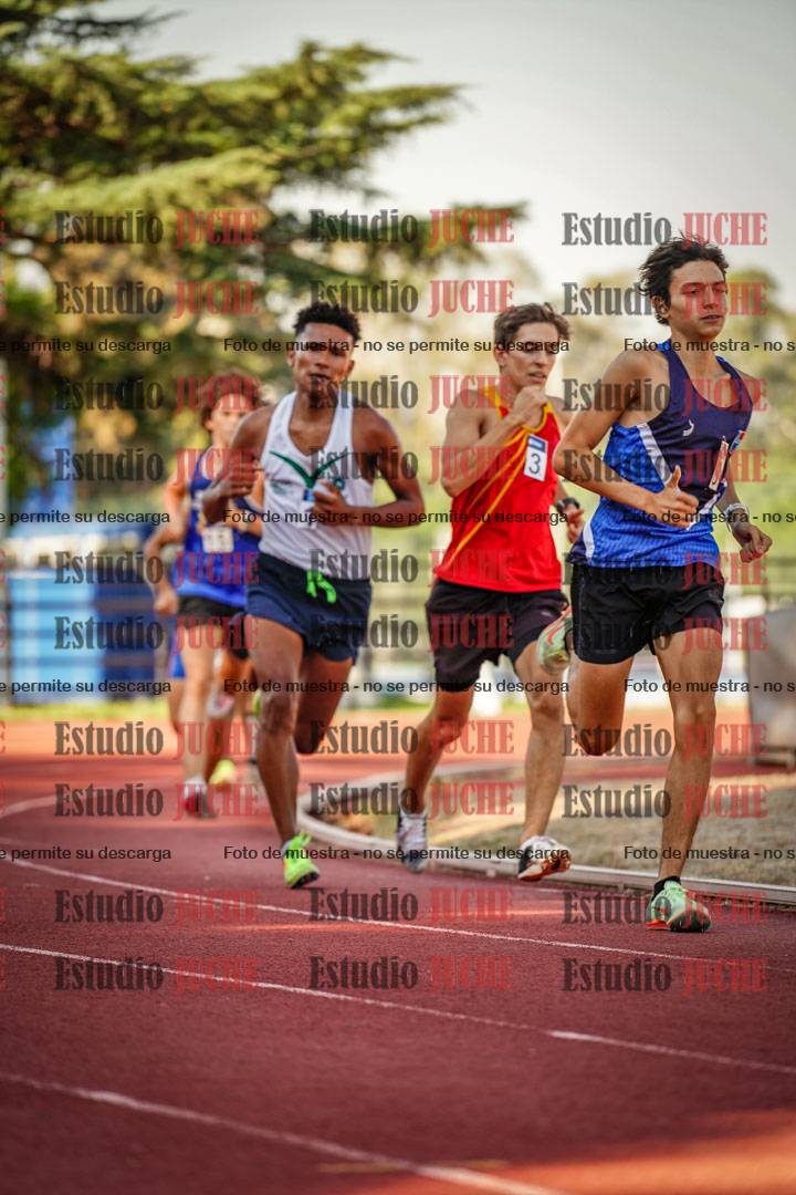 Fotos de los 800 m llanos de varones