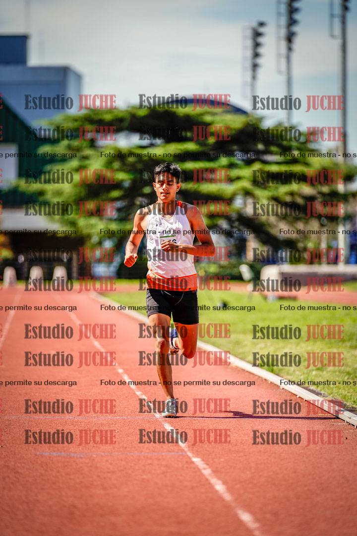 Fotos de los 800 m llanos de varones