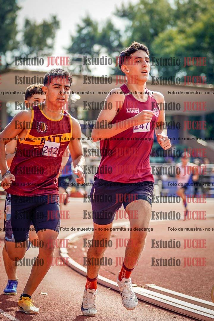 Fotos de los 800 m llanos de varones